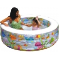 PISCINA ACQUARIUM 152X56